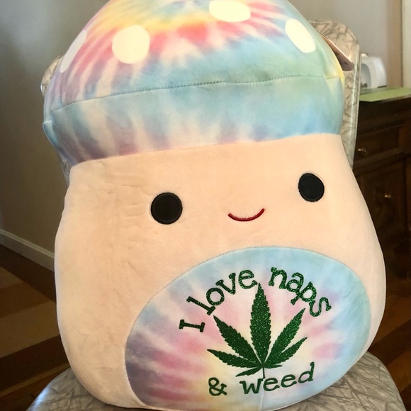 Squishmallows Other - Squishmallow Custom Mushroom